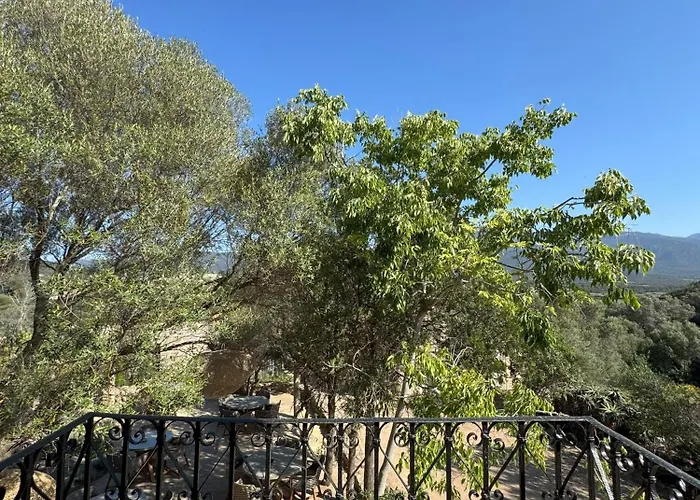 Confidentiel Le Grecale Hotel