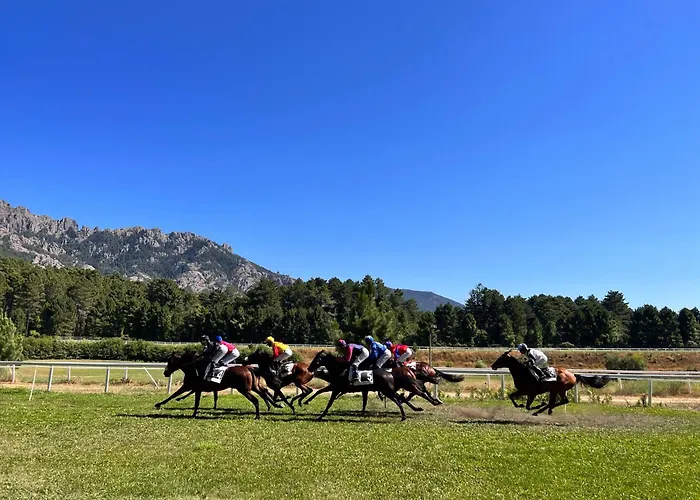 Otel Confidentiel Le Grecale